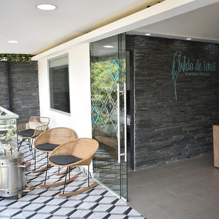 Hostel Boutique Nido De Loros Μεντεγίν Εξωτερικό φωτογραφία